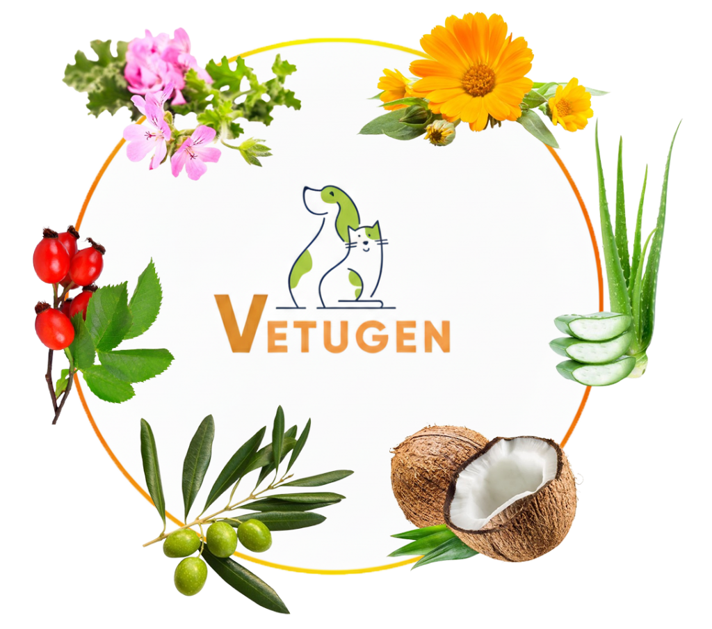 Vetugen Şişe Sprey İçerikleri