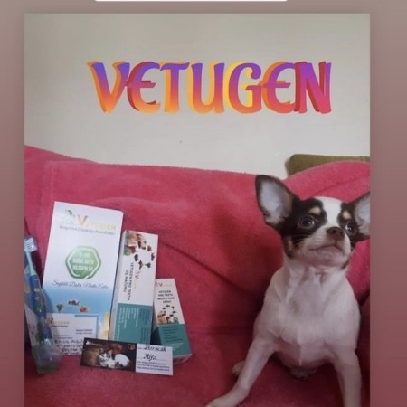 Vetugen